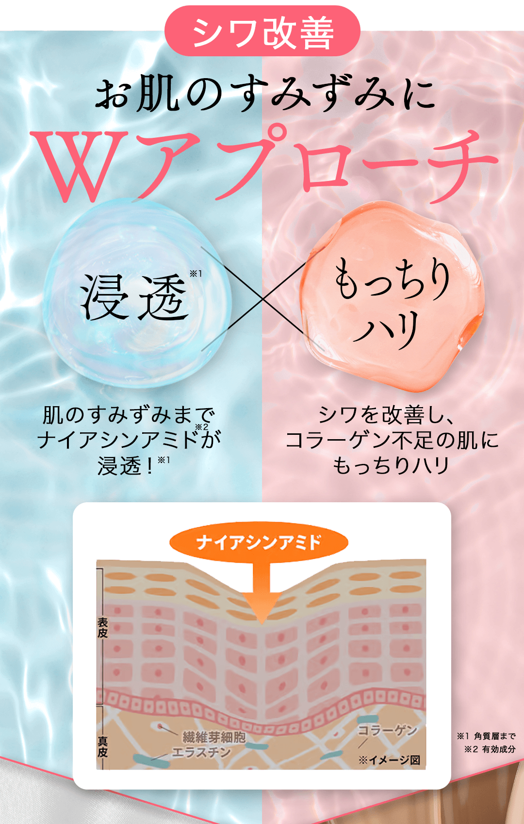 シワ改善お肌のすみずみにWアプローチ