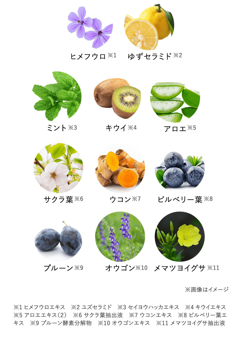 ヒメフウロ、ゆずセラミド、ミント、キウイ、アロエ、サクラ葉、ウコン、ビルベリー葉、プルーン、オウゴン、メマツヨイグサ ※画像はイメージ