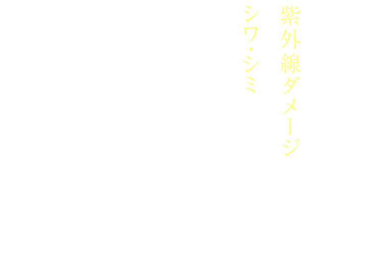 蓄積した紫外線ダメージでシワ・シミ が心配…