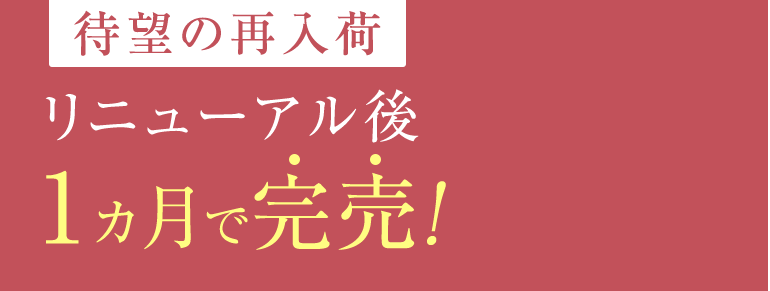 待望の再入荷リニューアル後1ヵ月で完売！